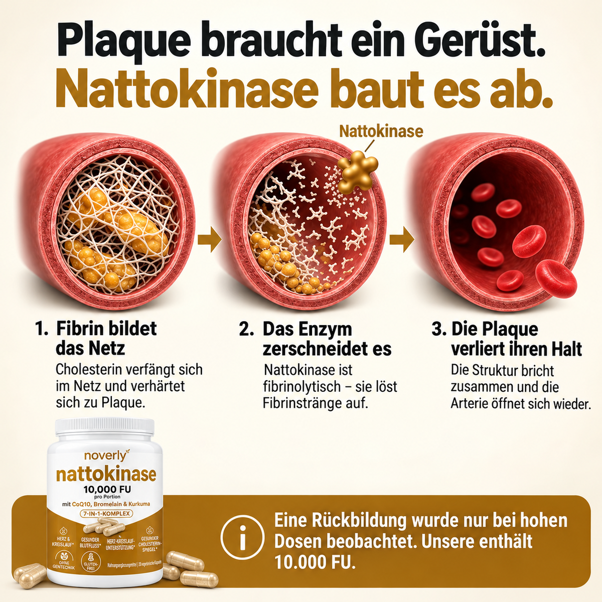 Nattokinase Max Potency 10.000 FU – Unterstützung der Durchblutung